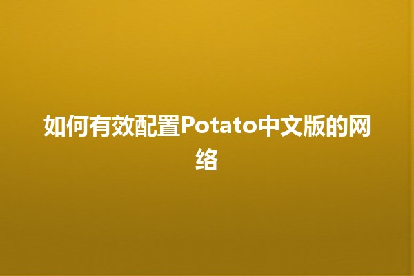 如何有效配置Potato中文版的网络 🥔🌐