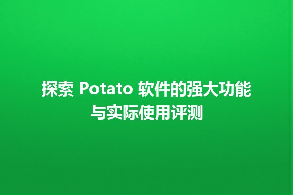 🍟 探索 Potato 软件的强大功能与实际使用评测 🖥️