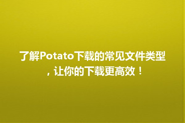 🌟 了解Potato下载的常见文件类型，让你的下载更高效！📂