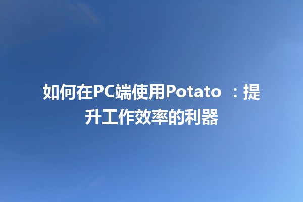 如何在PC端使用Potato 🍟✨：提升工作效率的利器