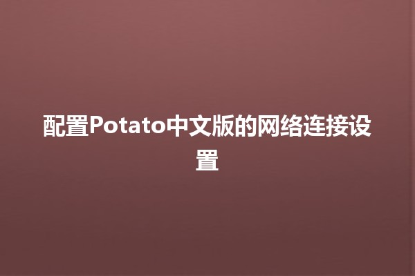 配置Potato中文版的网络连接设置💻🌐