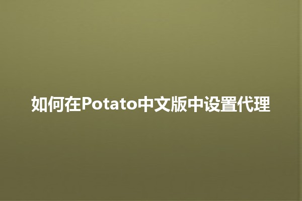 如何在Potato中文版中设置代理 🥔🔧