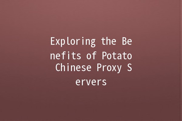 Exploring the Benefits of Potato Chinese Proxy Servers 🍟🌐