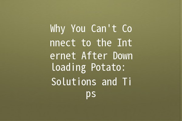 🚀 Why You Can't Connect to the Internet After Downloading Potato: Solutions and Tips