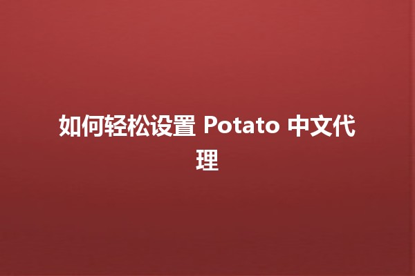 如何轻松设置 Potato 中文代理 🥔🔧