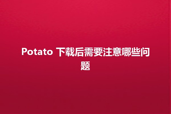 Potato 下载后需要注意哪些问题 🥔⚠️