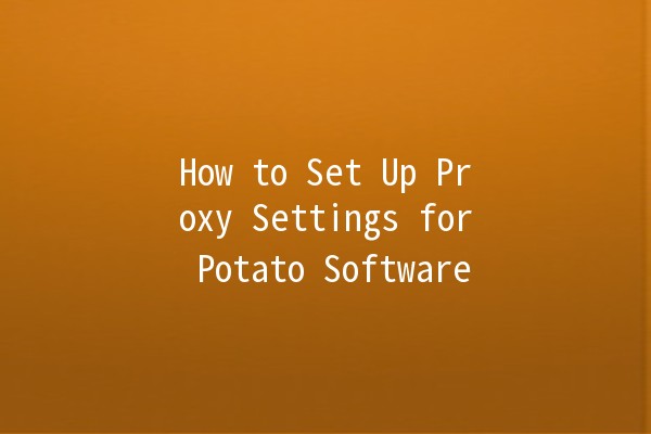 How to Set Up Proxy Settings for Potato Software 🥔🔧