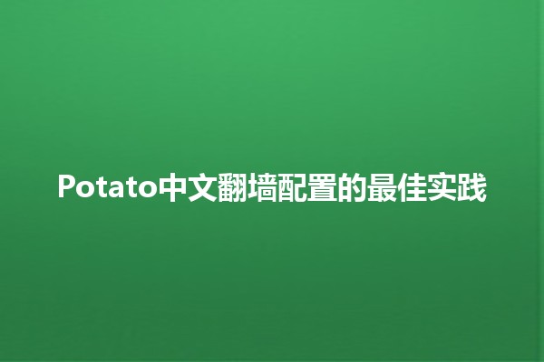 Potato中文翻墙配置的最佳实践 🥔🌐