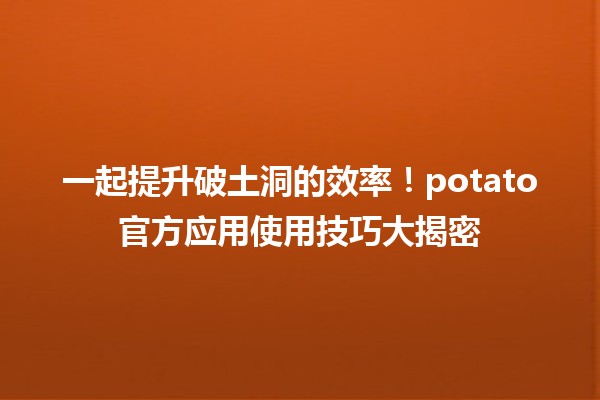 一起提升破土洞的效率！🚀🌱potato官方应用使用技巧大揭密