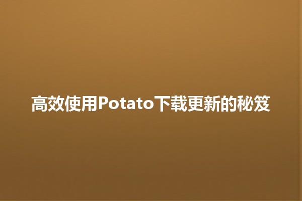 🚀 高效使用Potato下载更新的秘笈