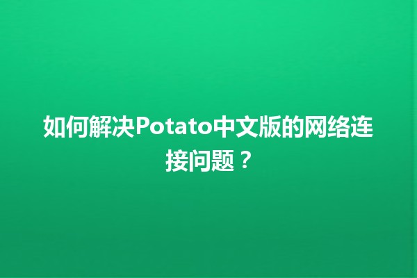 如何解决Potato中文版的网络连接问题？🛠️🌐