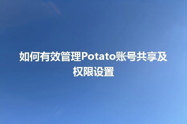 如何有效管理Potato账号共享及权限设置💻🔑