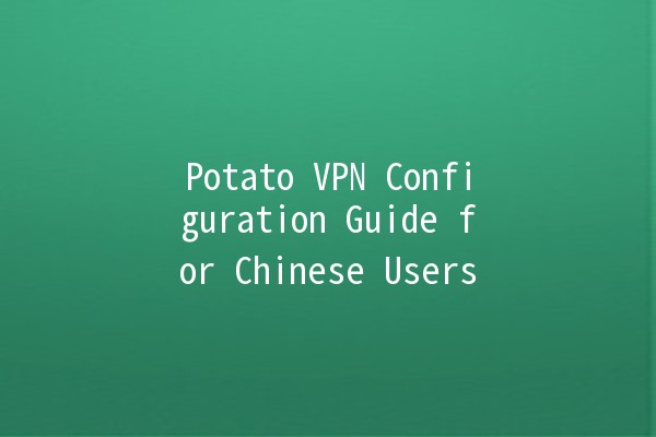 Potato VPN Configuration Guide for Chinese Users 🍟🛡️