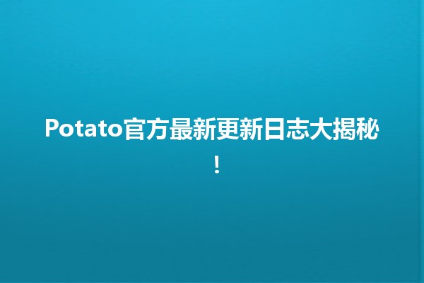 🎉 Potato官方最新更新日志大揭秘！🔍