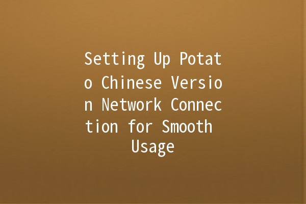 Setting Up Potato Chinese Version Network Connection for Smooth Usage 🌐🥔