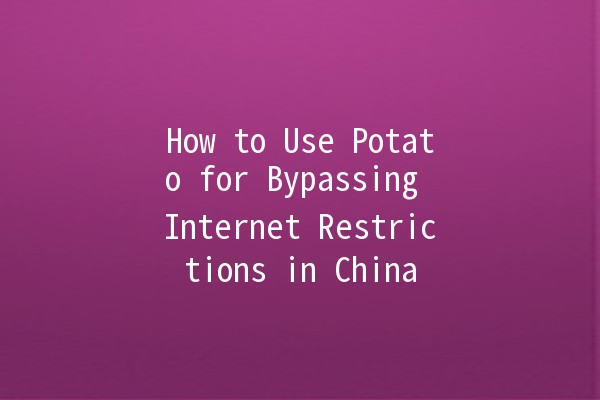 How to Use Potato for Bypassing Internet Restrictions in China 🥔🌐