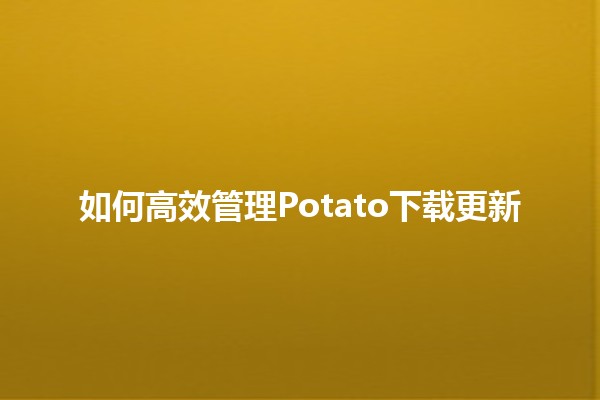 如何高效管理Potato下载更新 🥔📥