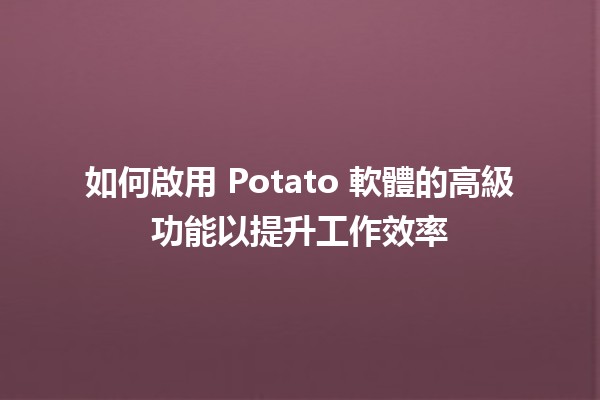 🍟 如何啟用 Potato 軟體的高級功能以提升工作效率🚀