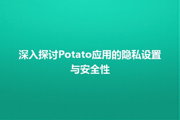 🍟 深入探讨Potato应用的隐私设置与安全性