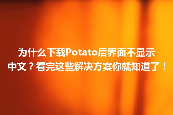 📥 为什么下载Potato后界面不显示中文？看完这些解决方案你就知道了！