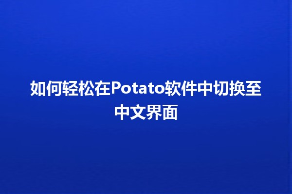 🍟 如何轻松在Potato软件中切换至中文界面