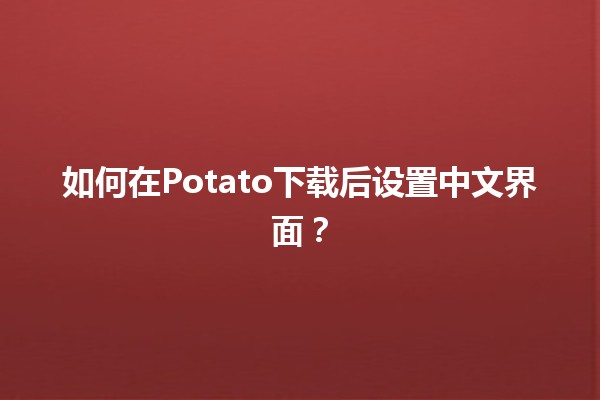 如何在Potato下载后设置中文界面？🌟