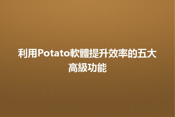 利用Potato軟體提升效率的五大高級功能💻✨