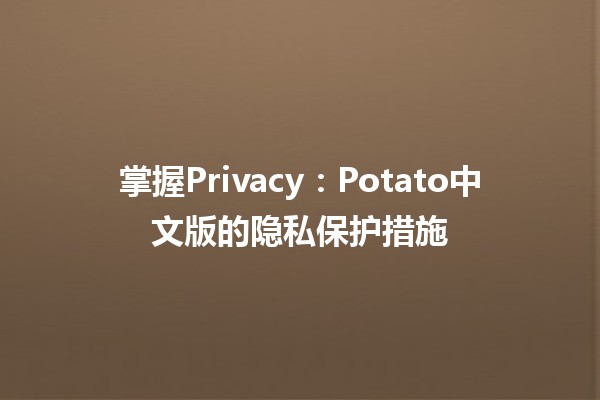 🌟 掌握Privacy：Potato中文版的隐私保护措施💻