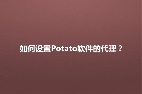 如何设置Potato软件的代理？🖥️🌐