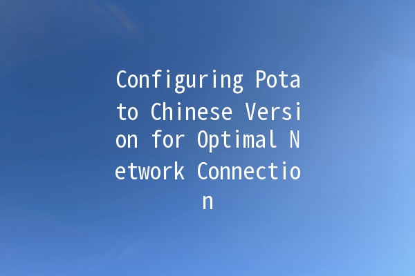 Configuring Potato Chinese Version for Optimal Network Connection 🌐🥔