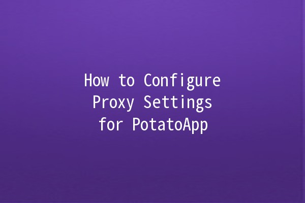 How to Configure Proxy Settings for PotatoApp 🍟🌐