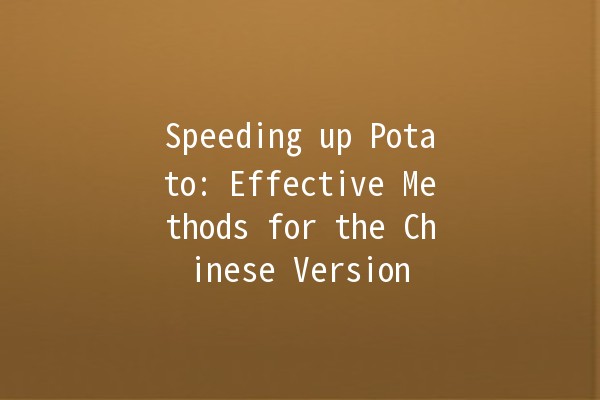 Speeding up Potato: Effective Methods for the Chinese Version 🚀🥔