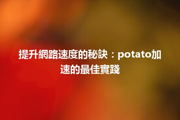 🔥 提升網路速度的秘訣：potato加速的最佳實踐🔥