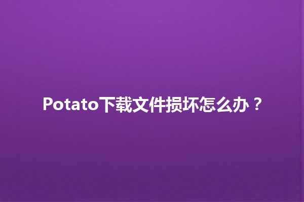 Potato下载文件损坏怎么办？💻📥