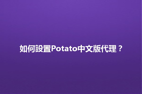 如何設置Potato中文版代理？🖥️🔧