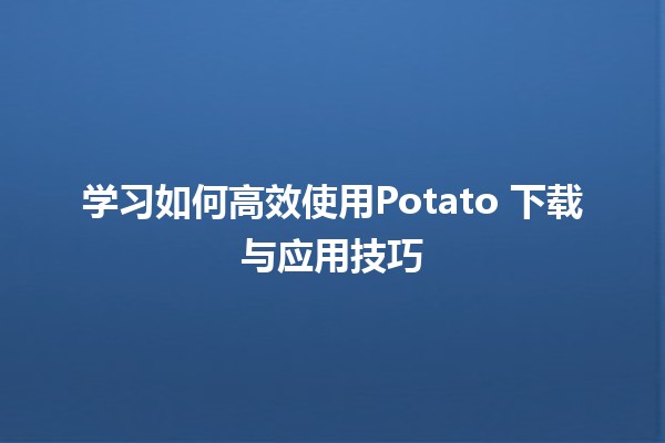 学习如何高效使用Potato 🌟下载与应用技巧