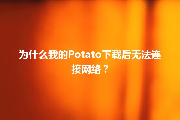 为什么我的Potato下载后无法连接网络？🤔💻