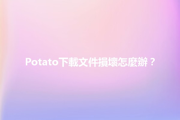 Potato下載文件損壞怎麼辦？🛠️✨