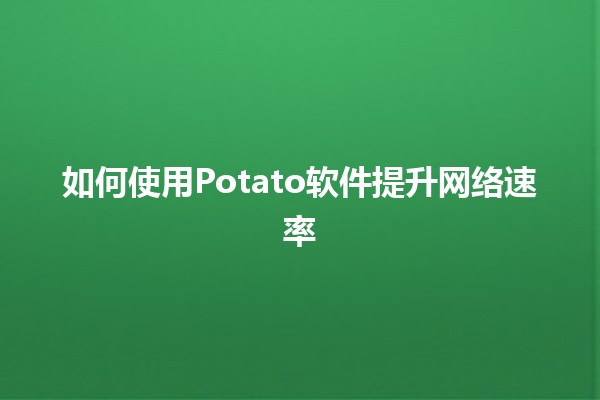 如何使用Potato软件提升网络速率 🚀✨