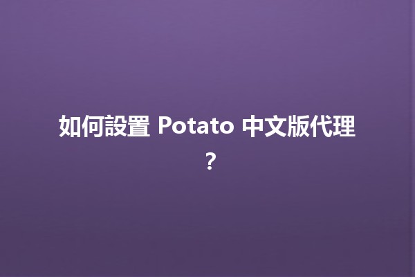 如何設置 Potato 中文版代理？🖥️📡