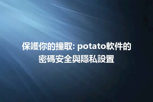 🚀 保護你的撞取: potato軟件的密碼安全與隱私設置 🛡️