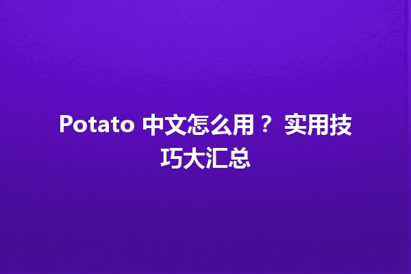 Potato 中文怎么用？🥔 实用技巧大汇总