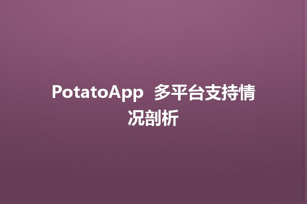 PotatoApp 🚀 多平台支持情况剖析