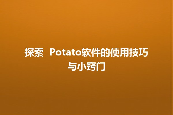 探索 🌟 Potato软件的使用技巧与小窍门