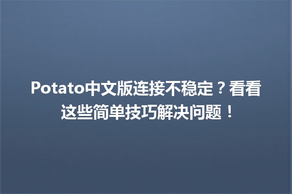 Potato中文版连接不稳定？看看这些简单技巧解决问题！🌟💻