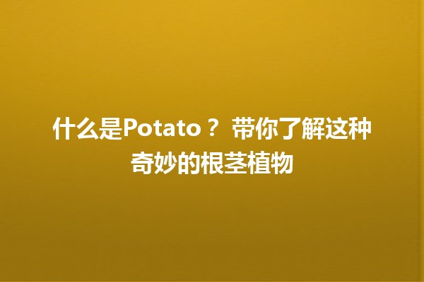 什么是Potato？🥔 带你了解这种奇妙的根茎植物