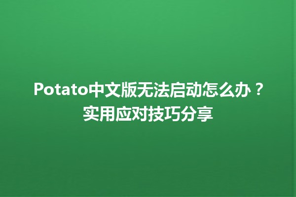 🚀 Potato中文版无法启动怎么办？实用应对技巧分享