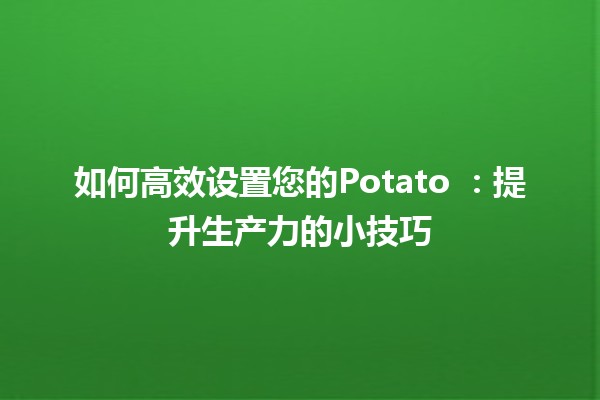 如何高效设置您的Potato 🍽️：提升生产力的小技巧