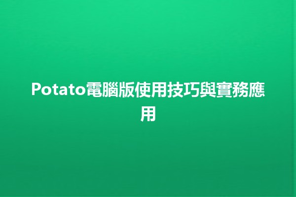 Potato電腦版使用技巧與實務應用 🍟🖥️