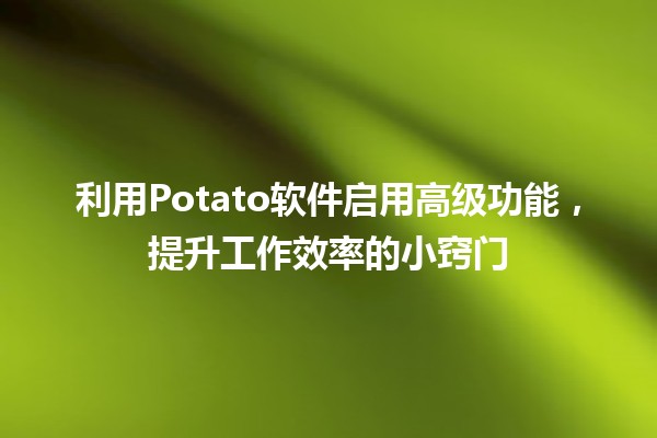 🍟 利用Potato软件启用高级功能，提升工作效率的小窍门 🚀